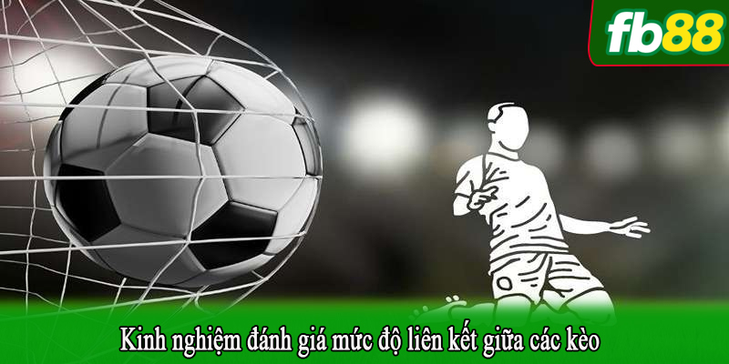 Kinh nghiệm đánh giá mức độ liên kết giữa các kèo