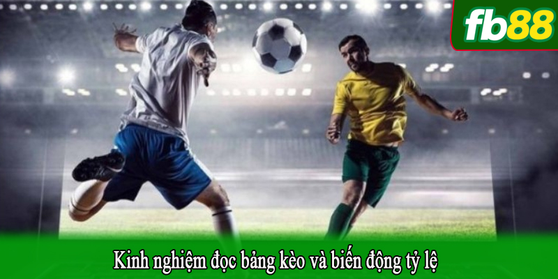 Kinh nghiệm đọc bảng kèo và biến động tỷ lệ