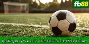 quy tắc quản lý vốn 1-3-2-6