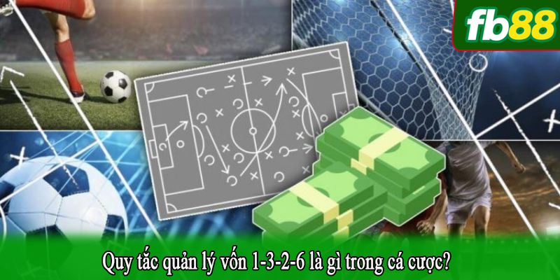 Quy tắc quản lý vốn 1-3-2-6 là gì trong cá cược?