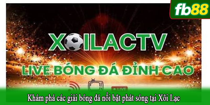 Khám phá các giải bóng đá nổi bật phát sóng tại Xôi Lạc