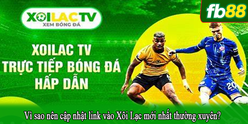 Vì sao nên cập nhật link vào Xôi Lạc mới nhất thường xuyên?