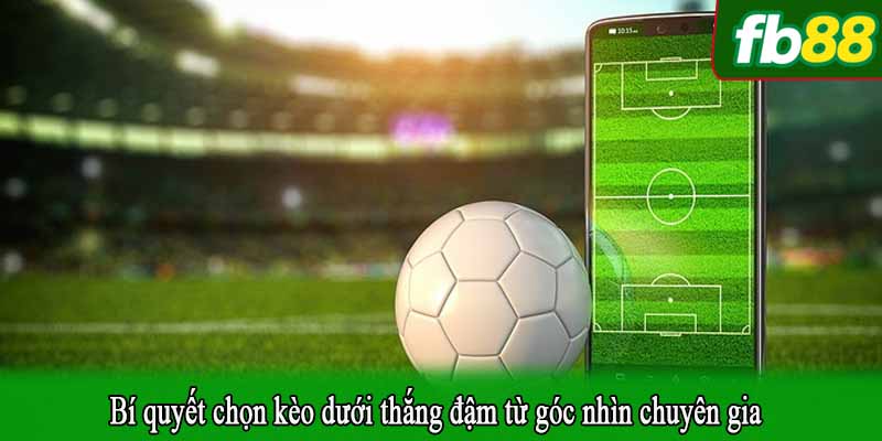 Bí quyết chọn kèo dưới thắng đậm từ góc nhìn chuyên gia